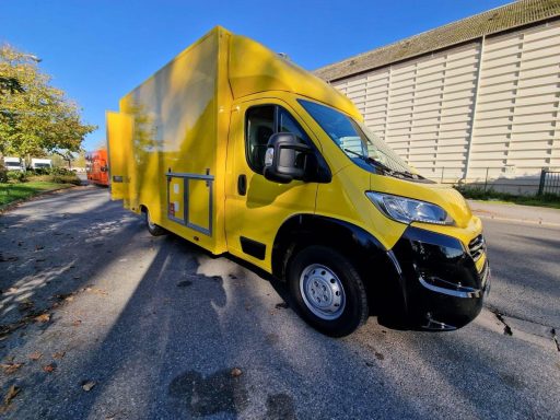Food Truck, camion magasin, remorque food truck, pizza